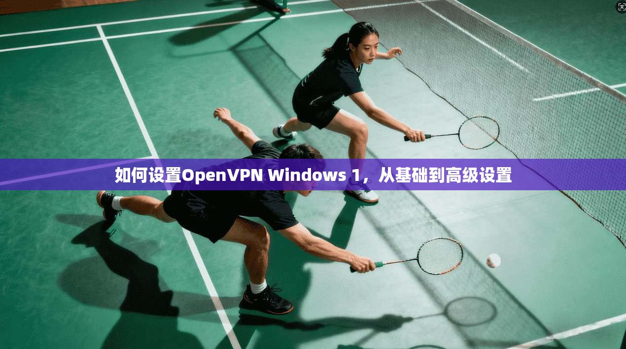 如何设置OpenVPN Windows 1，从基础到高级设置