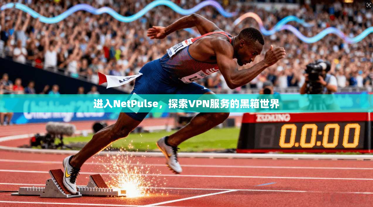 进入NetPulse，探索VPN服务的黑箱世界