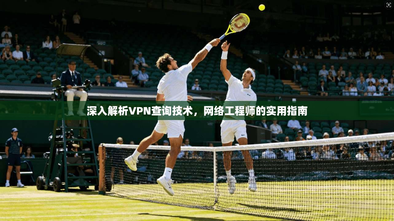深入解析VPN查询技术，网络工程师的实用指南