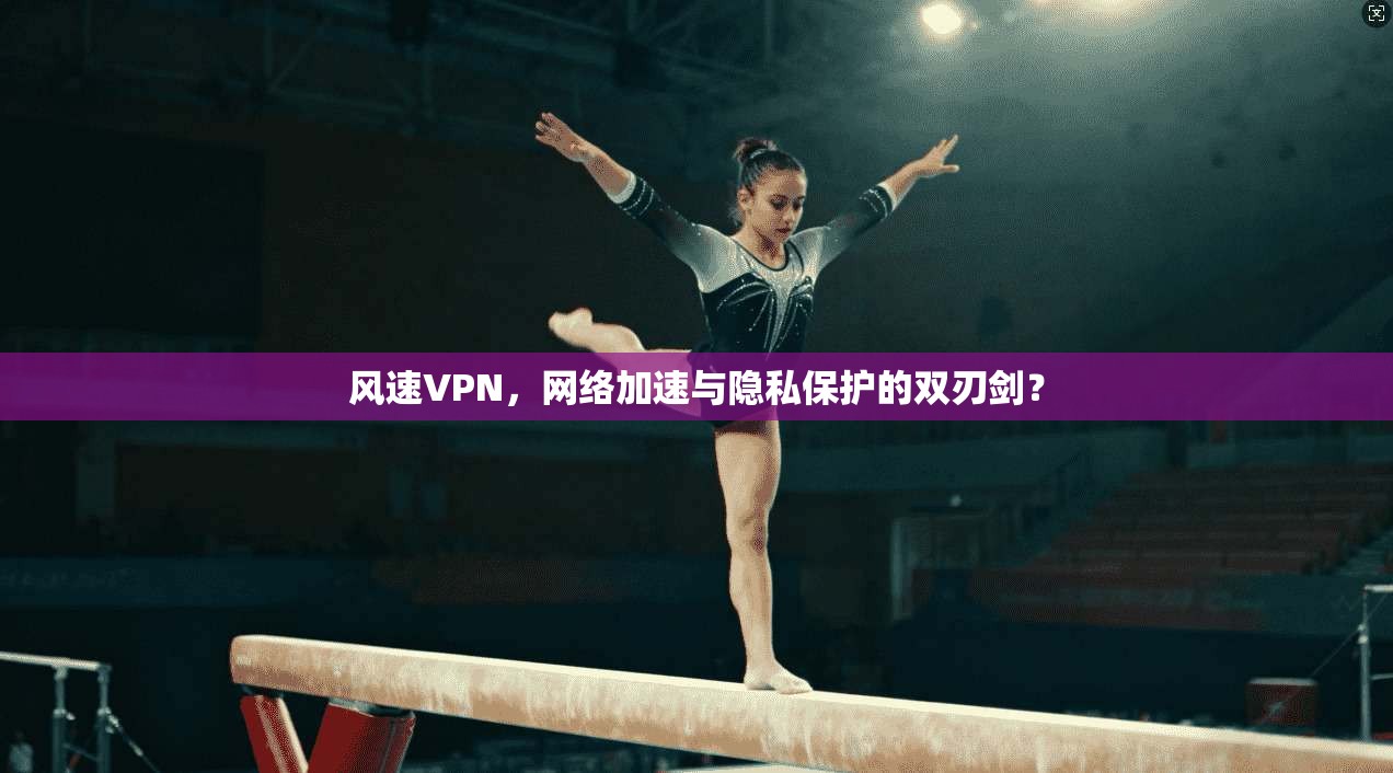 风速VPN,网络加速与隐私保护的双刃剑?