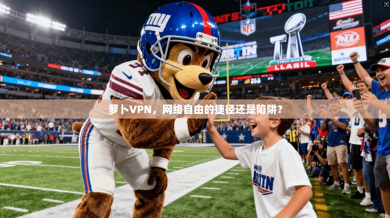 萝卜VPN,网络自由的捷径还是陷阱?
