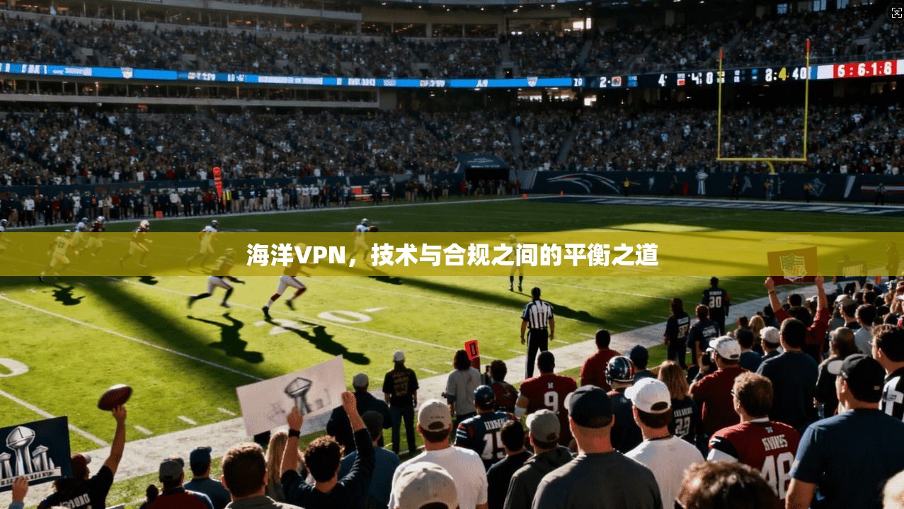 海洋VPN，技术与合规之间的平衡之道