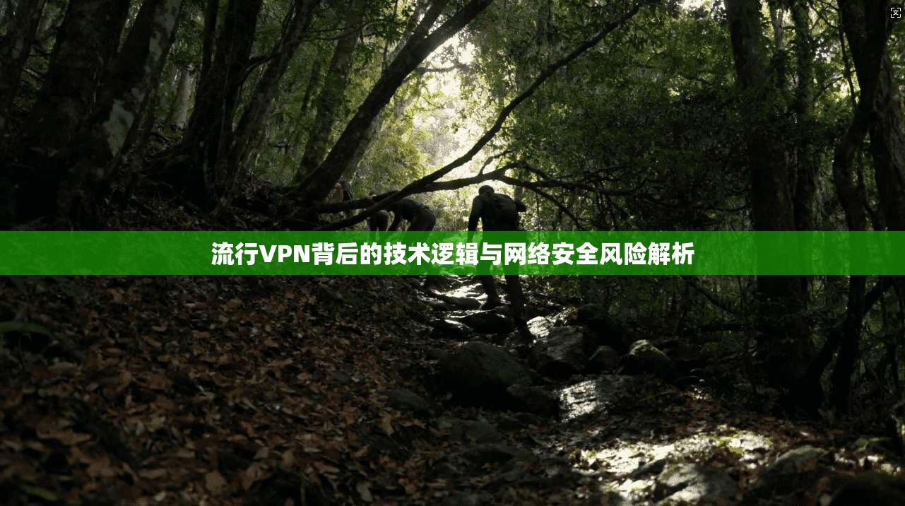 流行VPN背后的技术逻辑与网络安全风险解析