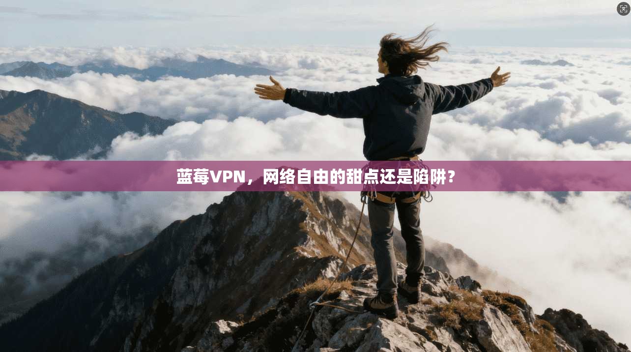 蓝莓VPN，网络自由的甜点还是陷阱？