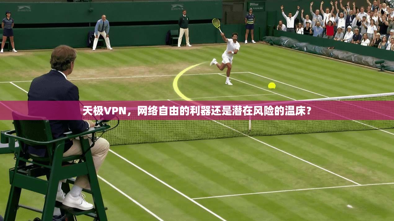 天极VPN，网络自由的利器还是潜在风险的温床？