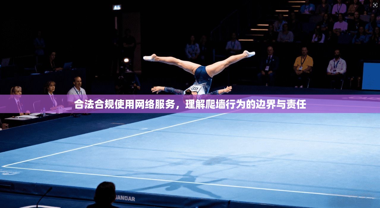 合法合规使用网络服务，理解爬墙行为的边界与责任