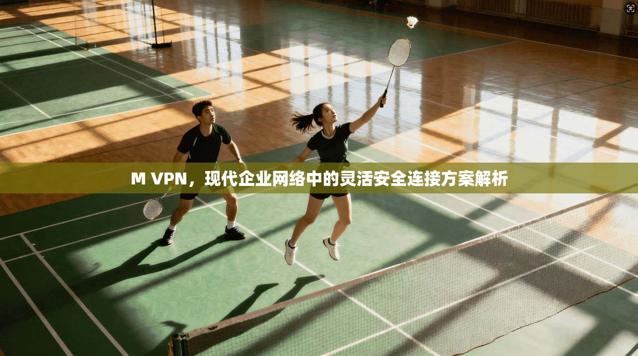 M VPN，现代企业网络中的灵活安全连接方案解析