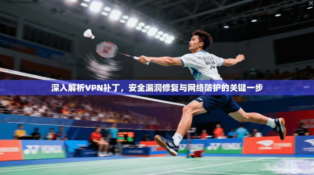 深入解析VPN补丁，安全漏洞修复与网络防护的关键一步