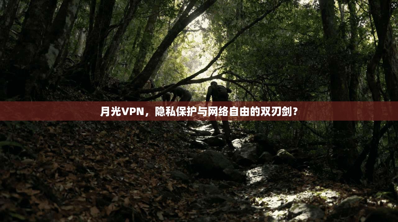 月光VPN，隐私保护与网络自由的双刃剑？