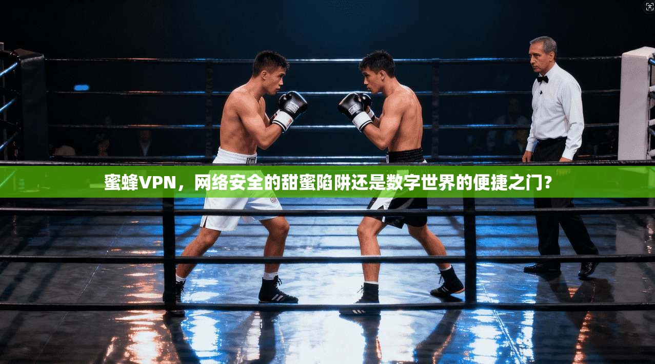 蜜蜂VPN，网络安全的甜蜜陷阱还是数字世界的便捷之门？