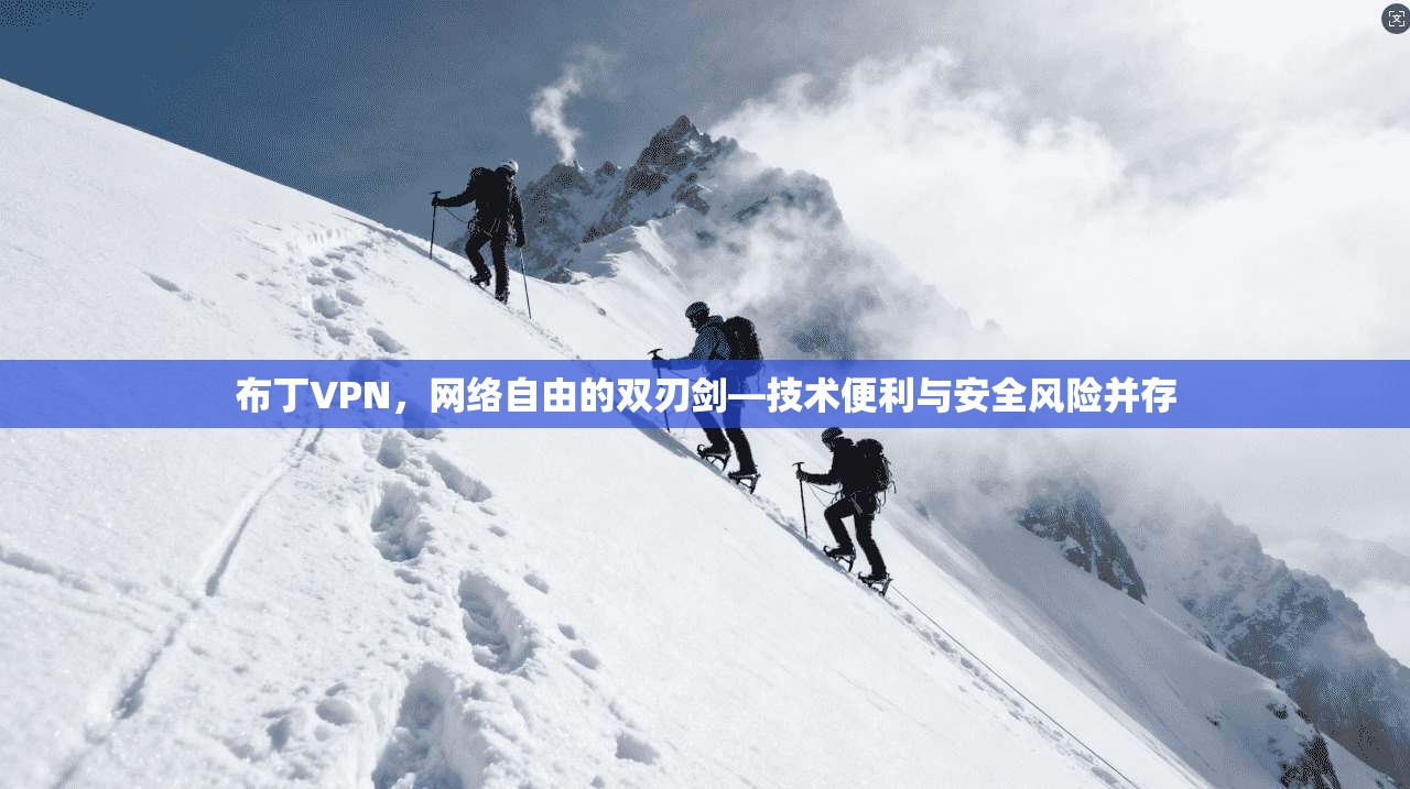 布丁VPN，网络自由的双刃剑—技术便利与安全风险并存