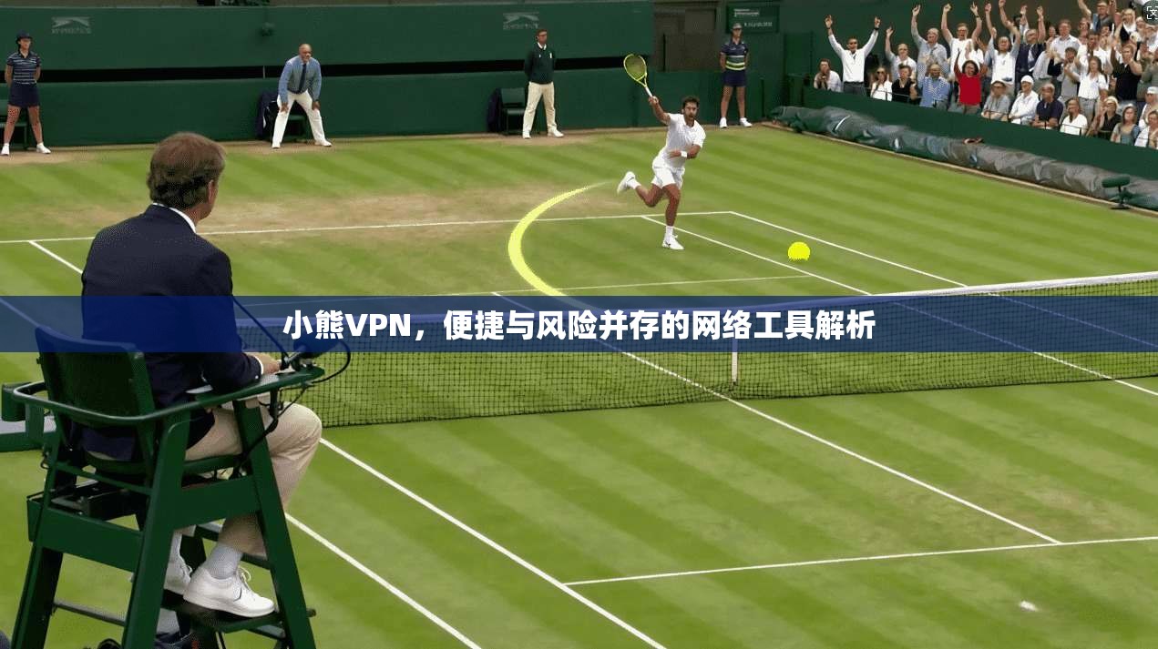 小熊VPN，便捷与风险并存的网络工具解析