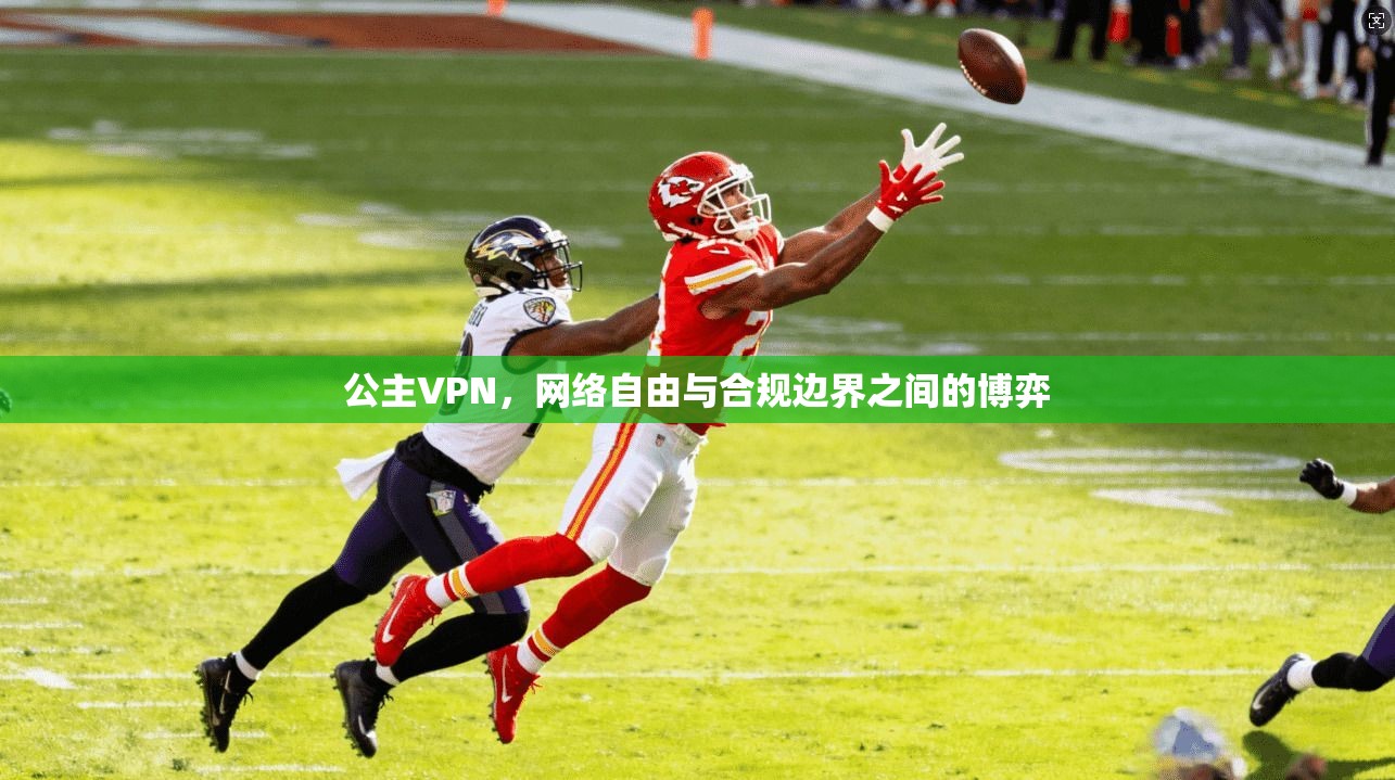 公主VPN，网络自由与合规边界之间的博弈