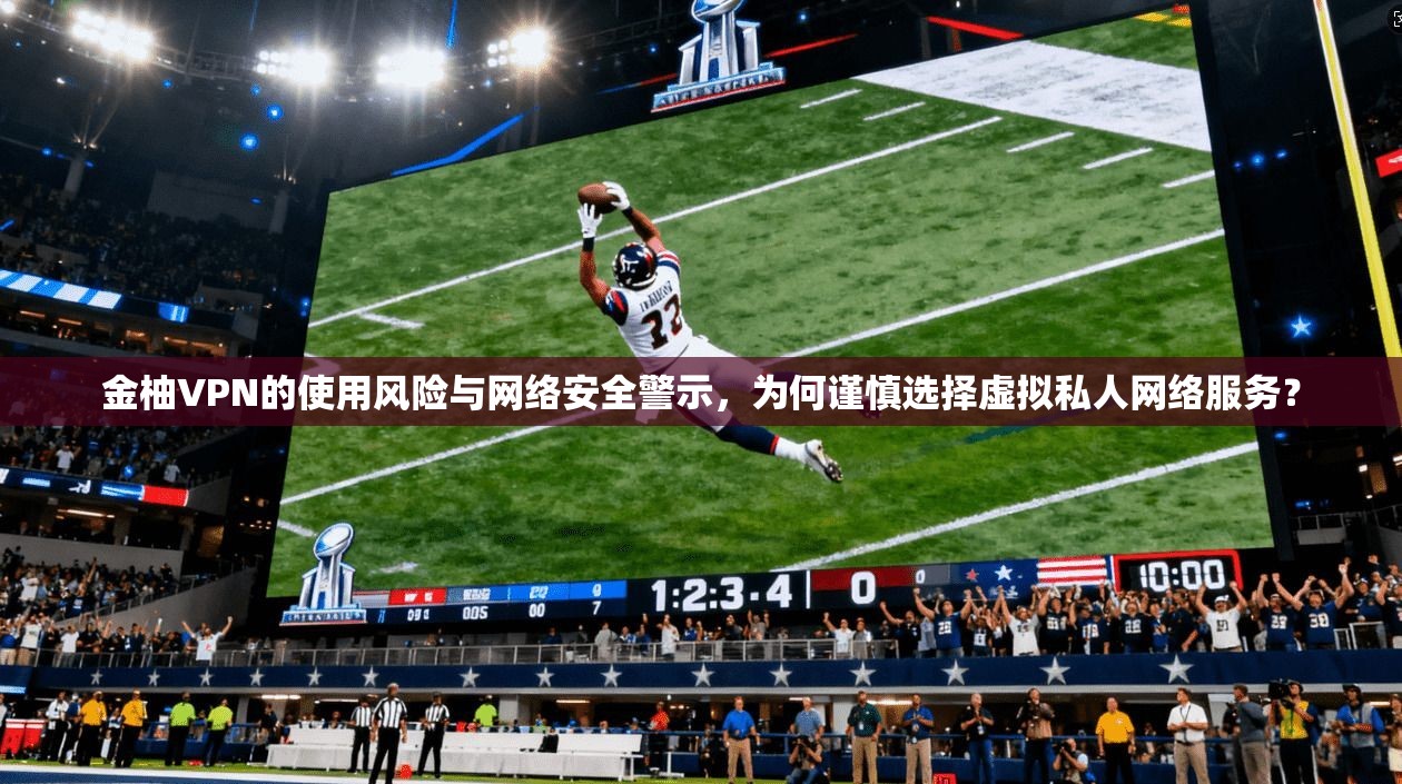 金柚VPN的使用风险与网络安全警示，为何谨慎选择虚拟私人网络服务？