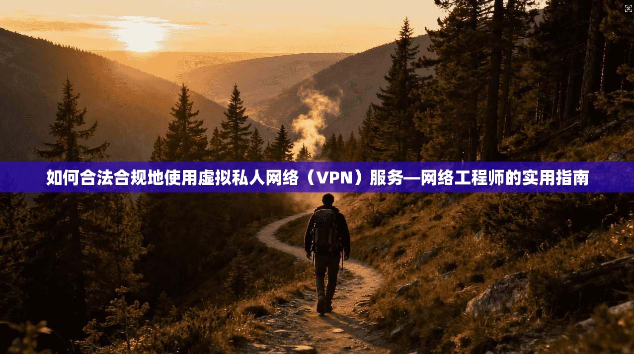如何合法合规地使用虚拟私人网络（VPN）服务—网络工程师的实用指南