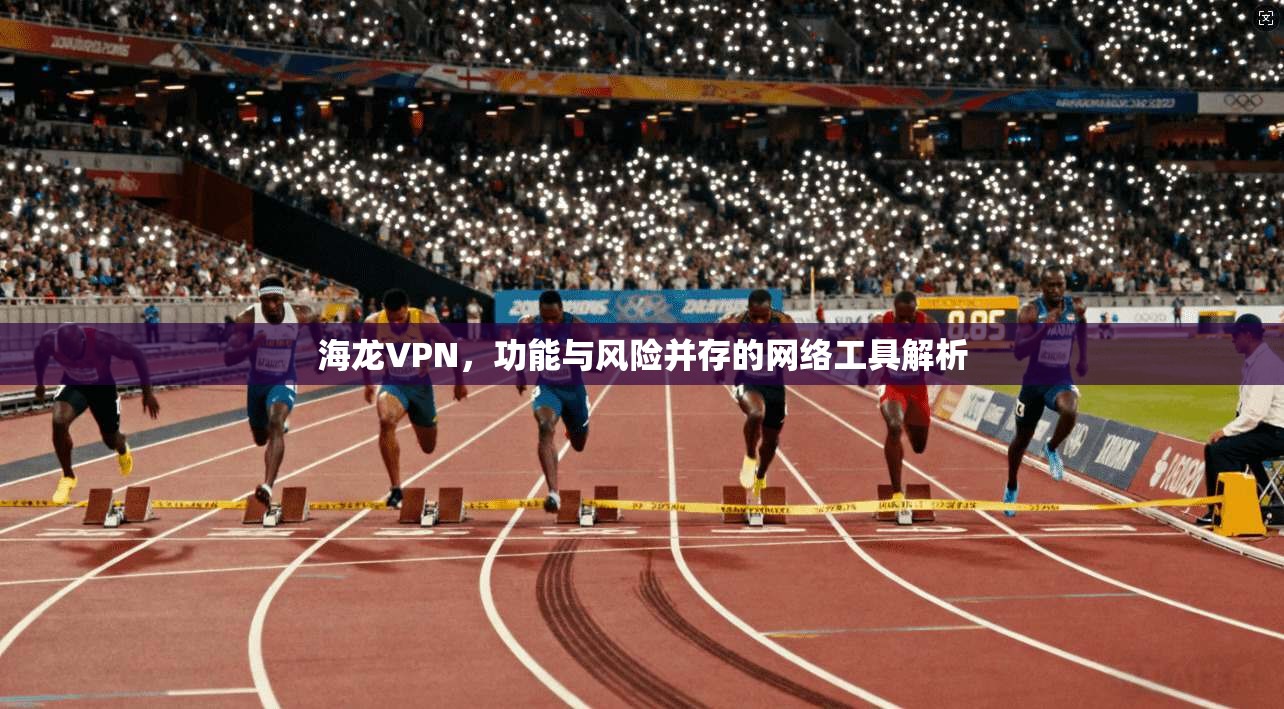 海龙VPN，功能与风险并存的网络工具解析