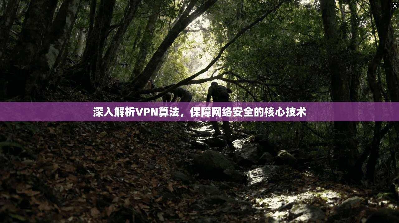 深入解析VPN算法，保障网络安全的核心技术