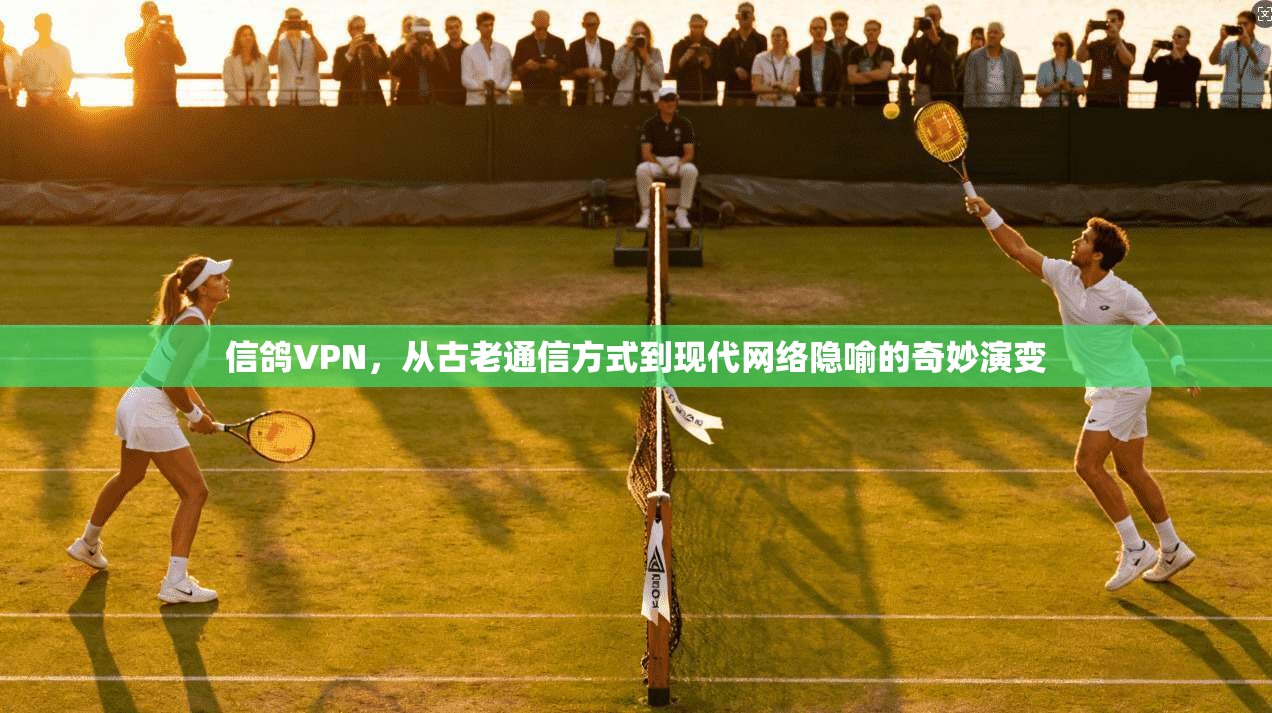 信鸽VPN，从古老通信方式到现代网络隐喻的奇妙演变