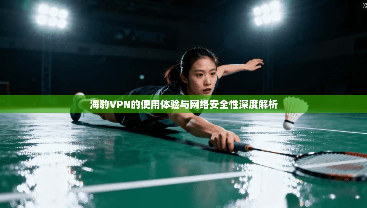 海豹VPN的使用体验与网络安全性深度解析