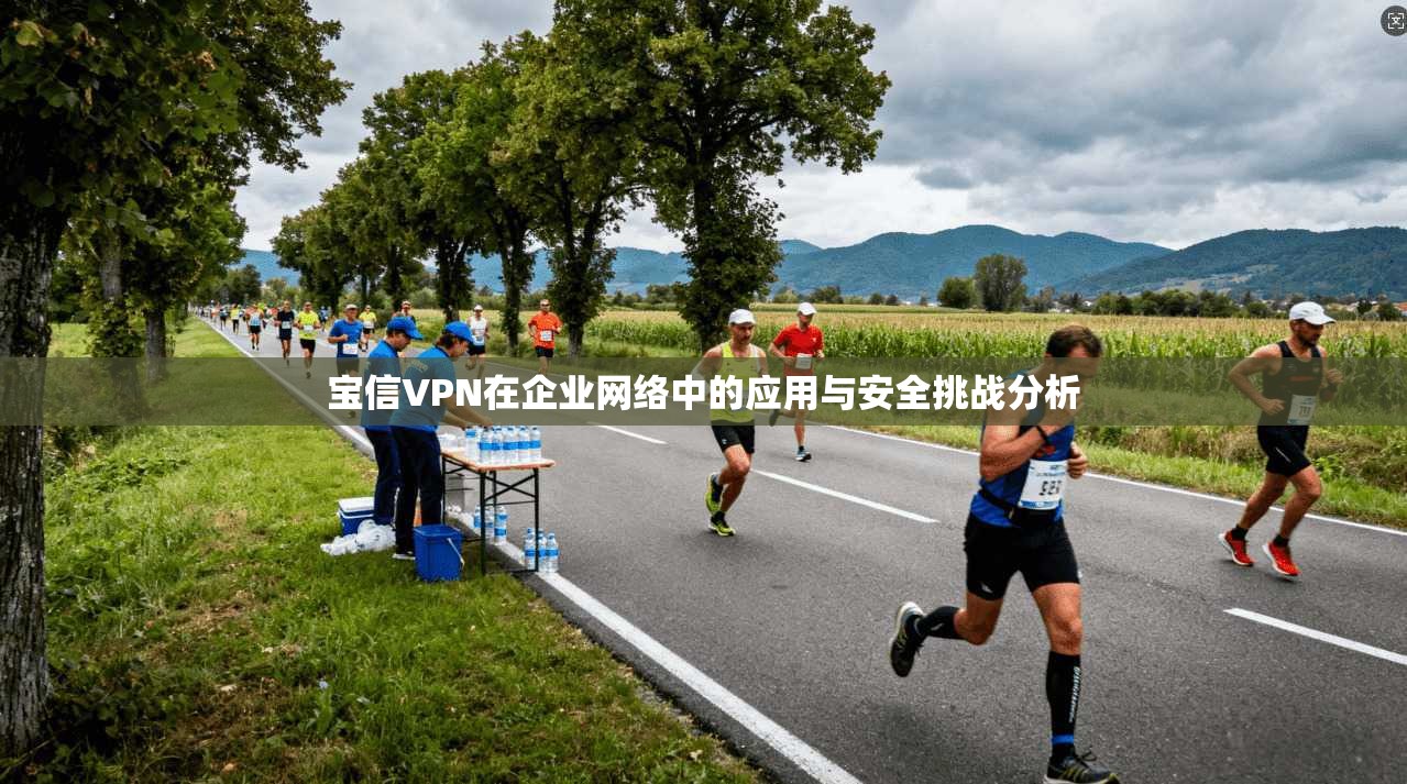 宝信VPN在企业网络中的应用与安全挑战分析
