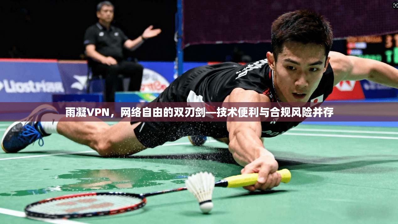 雨凝VPN，网络自由的双刃剑—技术便利与合规风险并存