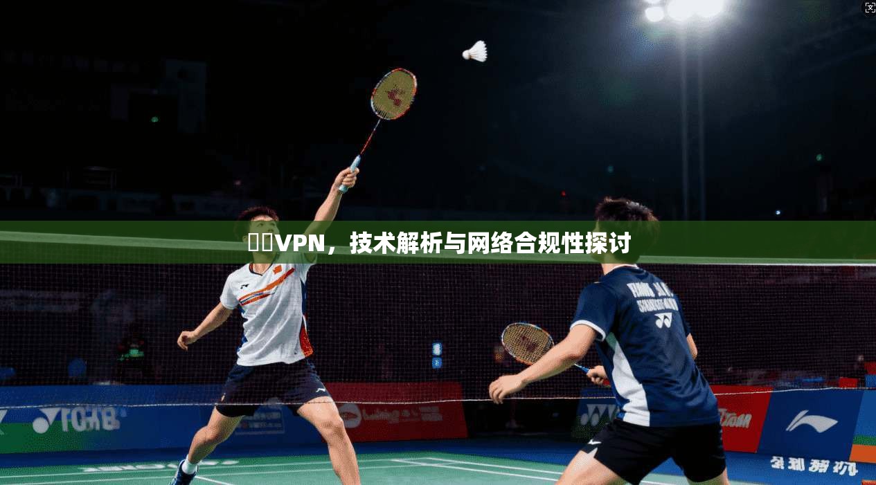 賽風VPN，技术解析与网络合规性探讨