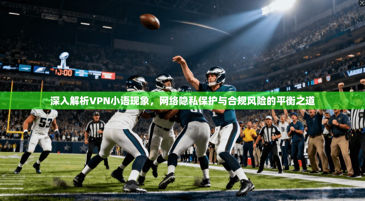 深入解析VPN小语现象，网络隐私保护与合规风险的平衡之道