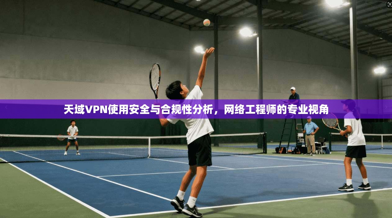 天域VPN使用安全与合规性分析，网络工程师的专业视角