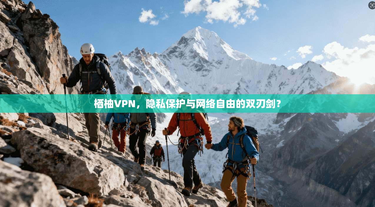 栖柚VPN，隐私保护与网络自由的双刃剑？
