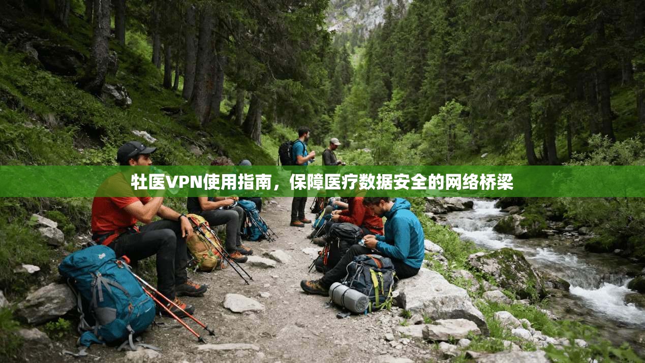 牡医VPN使用指南，保障医疗数据安全的网络桥梁