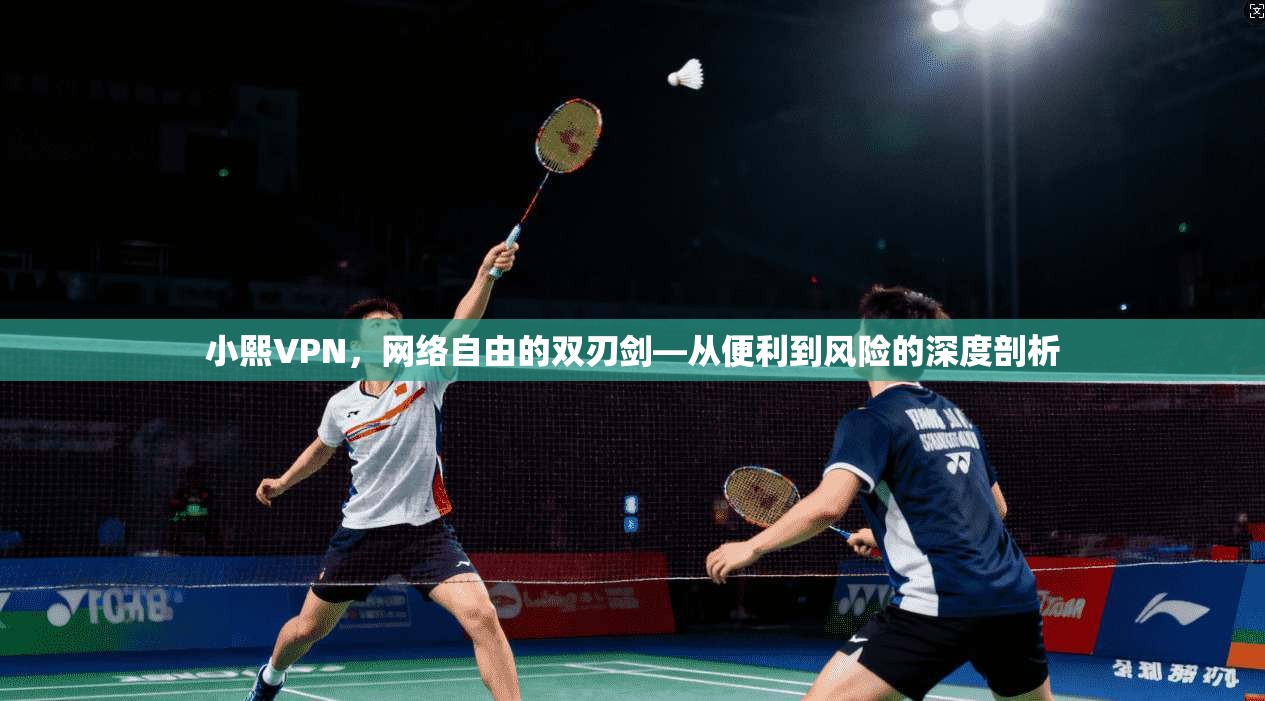 小熙VPN，网络自由的双刃剑—从便利到风险的深度剖析