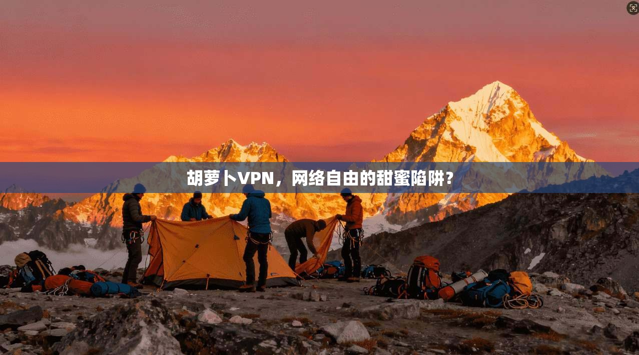 胡萝卜VPN，网络自由的甜蜜陷阱？