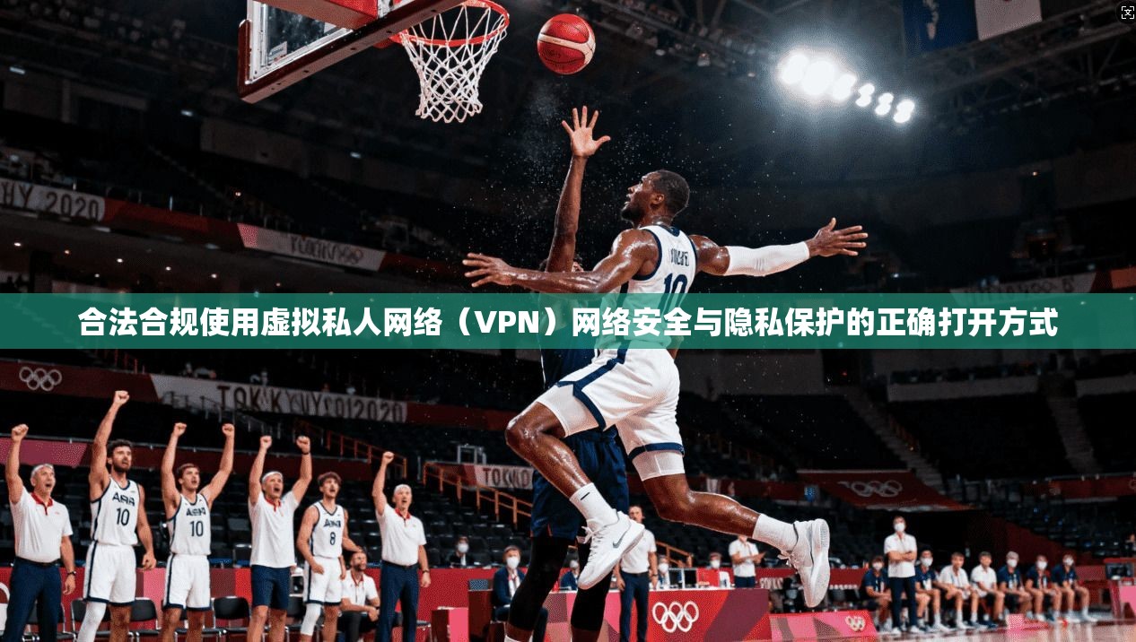 合法合规使用虚拟私人网络（VPN）网络安全与隐私保护的正确打开方式