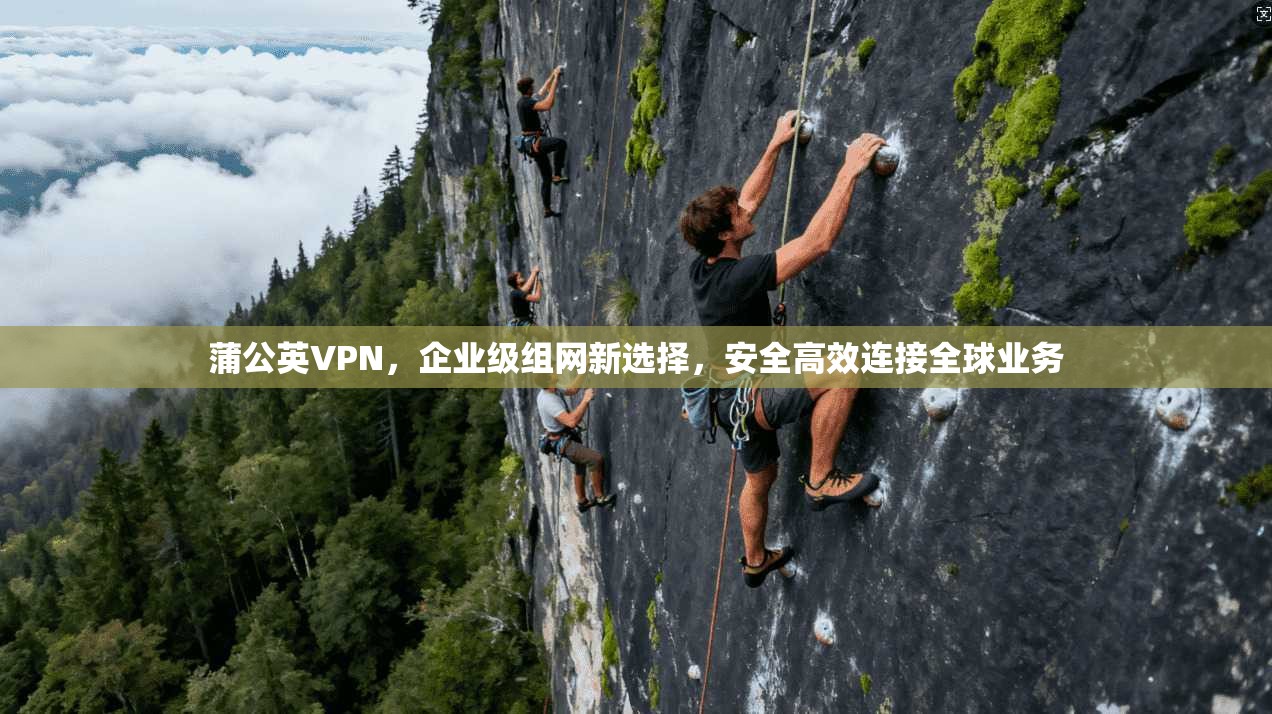蒲公英VPN，企业级组网新选择，安全高效连接全球业务
