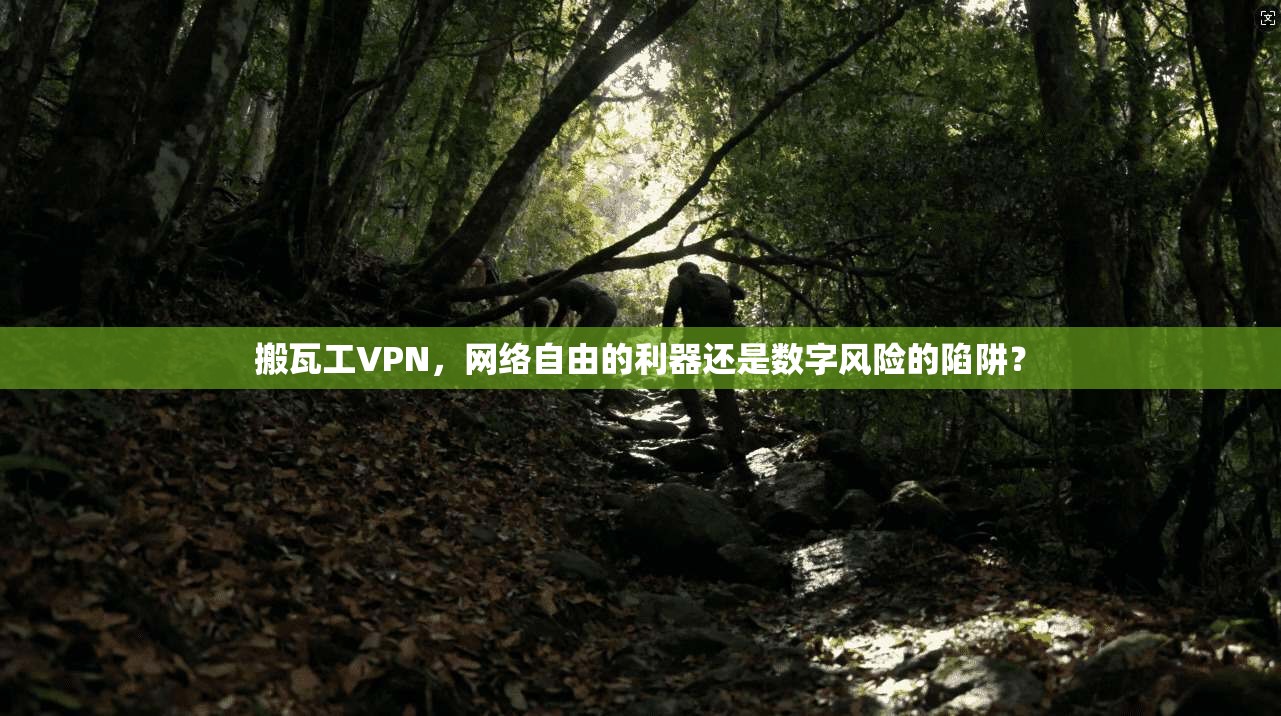 搬瓦工VPN，网络自由的利器还是数字风险的陷阱？