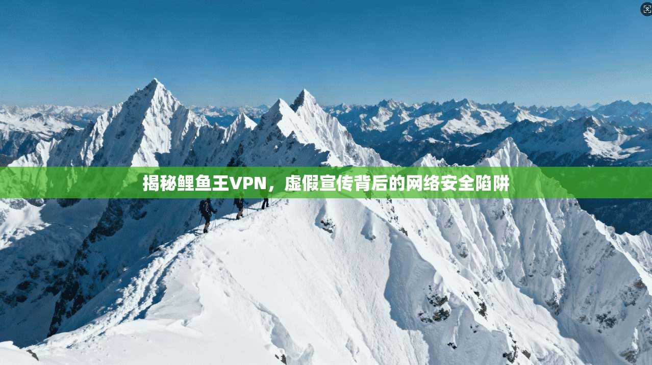 揭秘鲤鱼王VPN，虚假宣传背后的网络安全陷阱