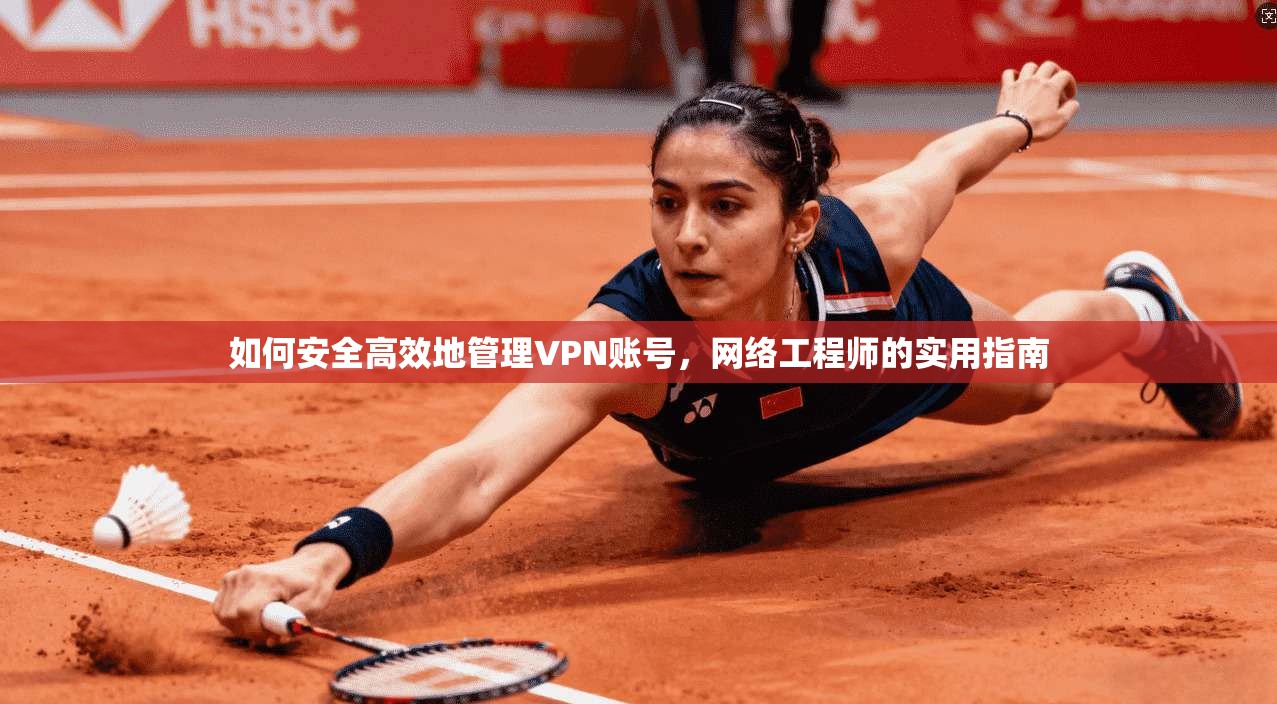 如何安全高效地管理VPN账号，网络工程师的实用指南