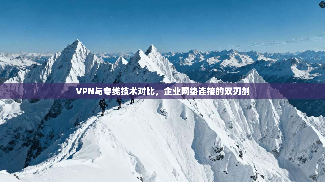 VPN与专线技术对比，企业网络连接的双刃剑