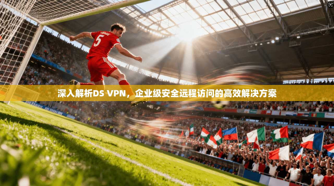 深入解析DS VPN，企业级安全远程访问的高效解决方案