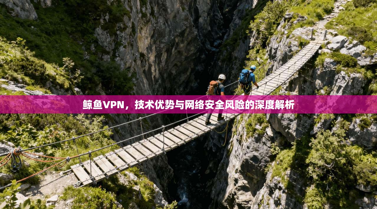 鲸鱼VPN，技术优势与网络安全风险的深度解析