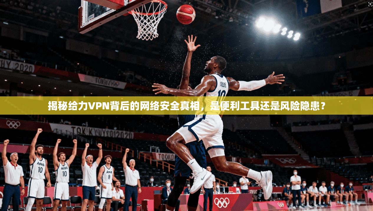 揭秘给力VPN背后的网络安全真相，是便利工具还是风险隐患？