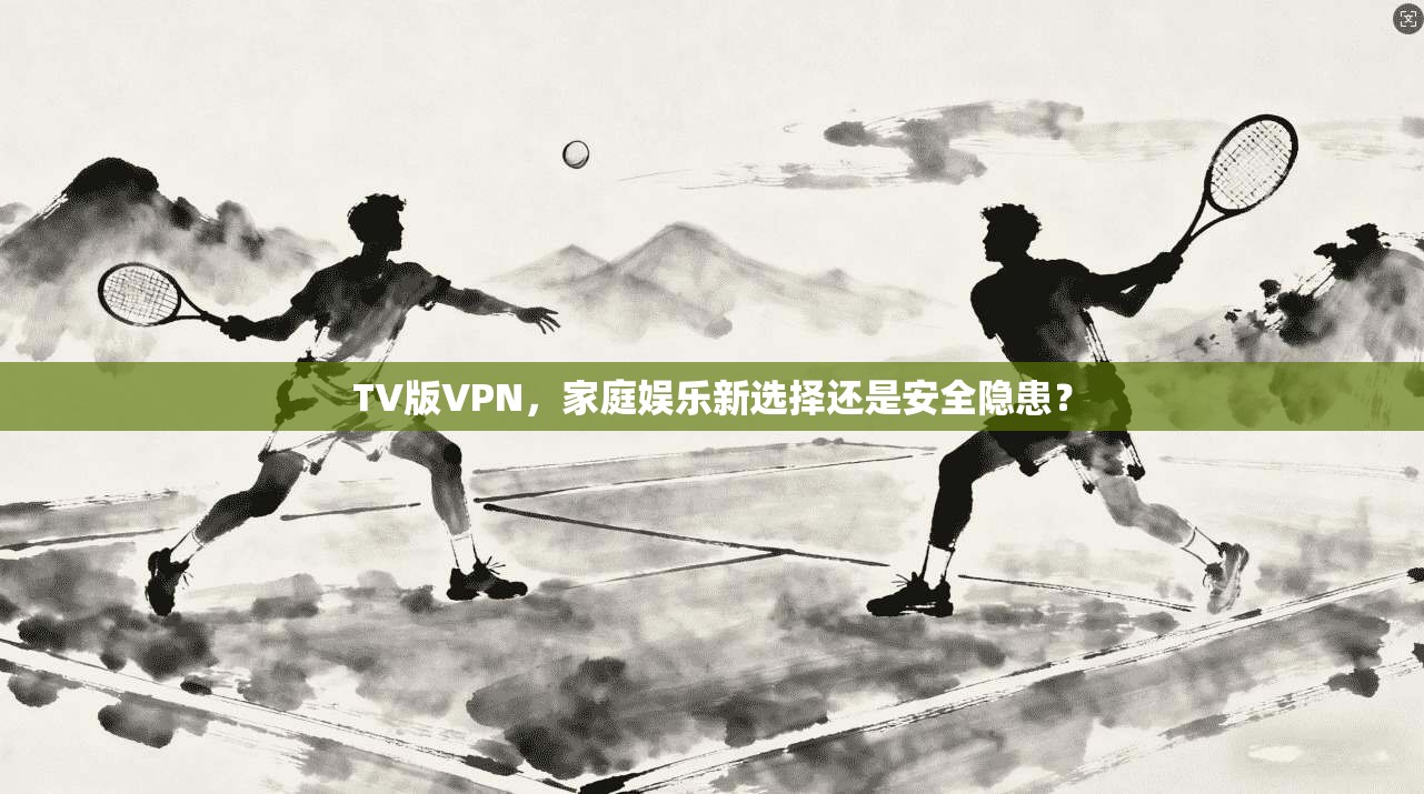 TV版VPN，家庭娱乐新选择还是安全隐患？