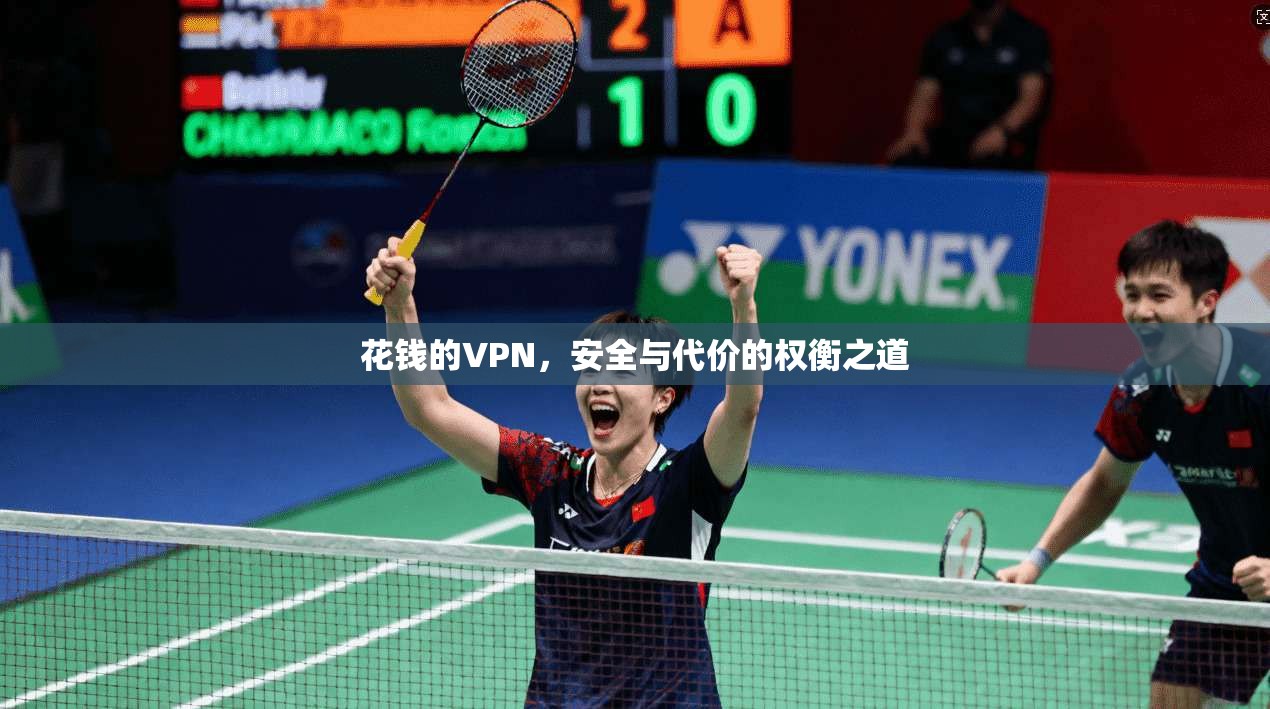 花钱的VPN，安全与代价的权衡之道