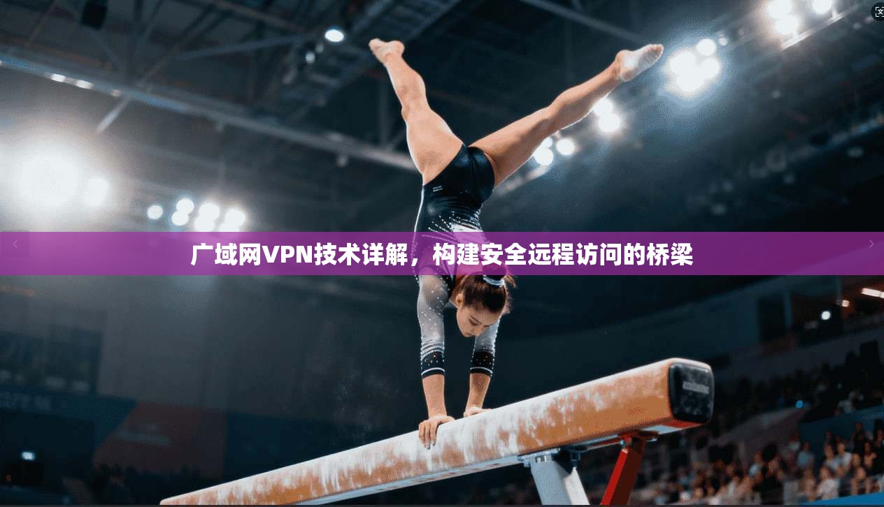 广域网VPN技术详解，构建安全远程访问的桥梁