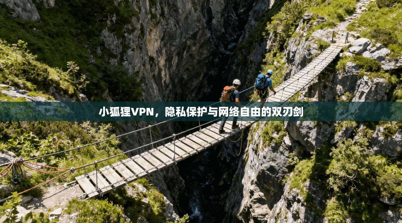 小狐狸VPN，隐私保护与网络自由的双刃剑