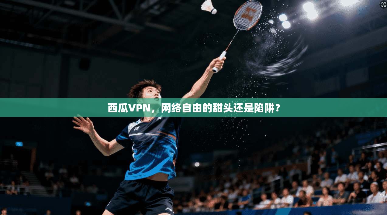 西瓜VPN，网络自由的甜头还是陷阱？