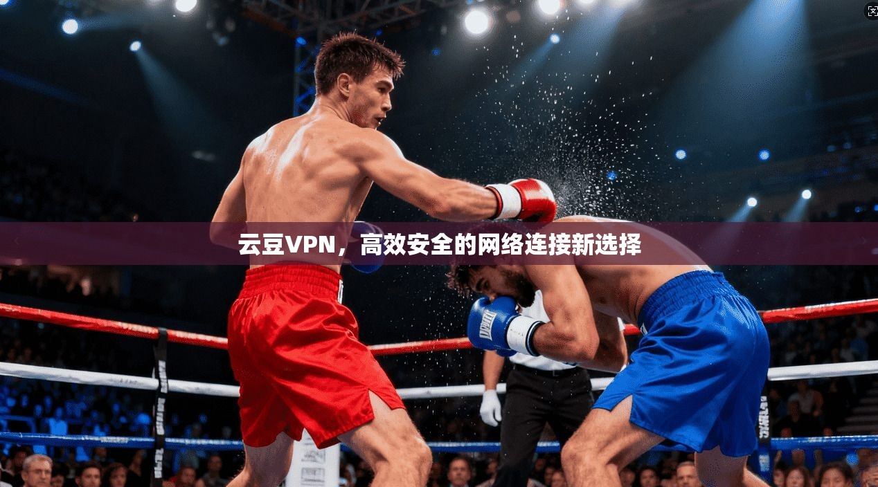 云豆VPN，高效安全的网络连接新选择