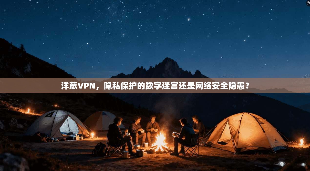 洋葱VPN，隐私保护的数字迷宫还是网络安全隐患？