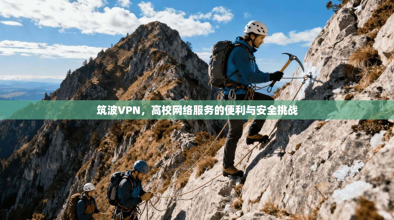 筑波VPN，高校网络服务的便利与安全挑战