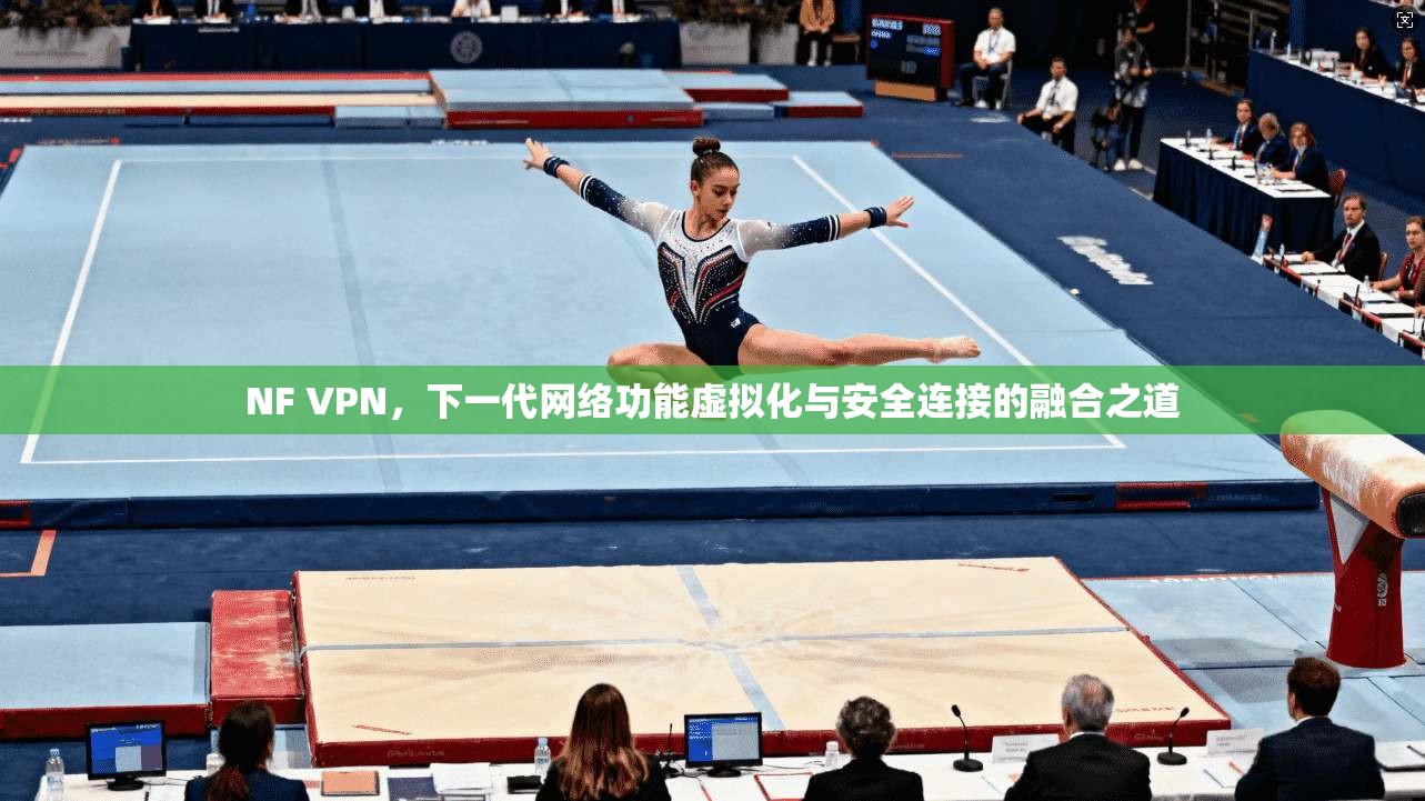 NF VPN，下一代网络功能虚拟化与安全连接的融合之道